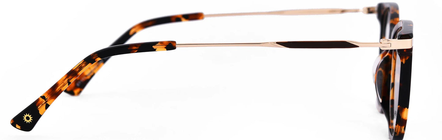 ST171-C2-Havana Brown