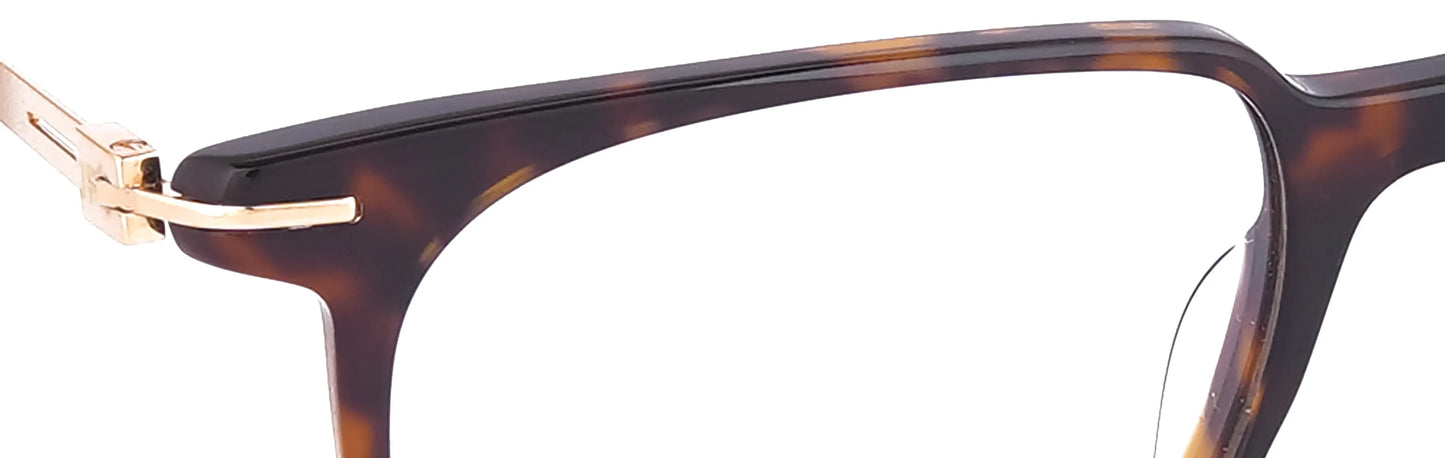 JF202-C1-Havana Brown