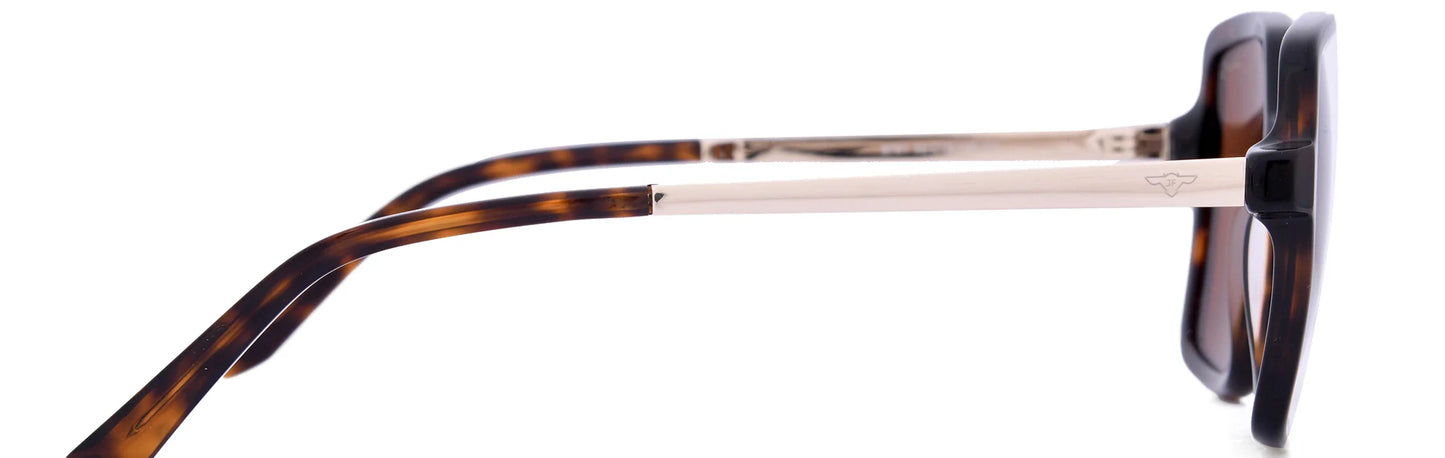 JF8781-C2-Havana Brown