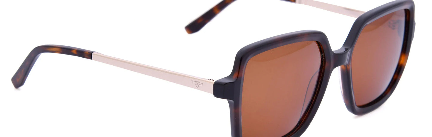 JF8781-C2-Havana Brown