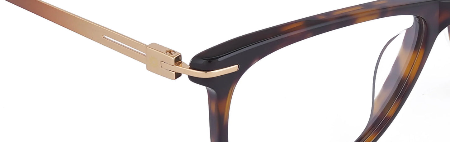 ST210-C3-Havana Brown