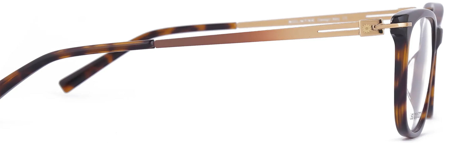 ST210-C3-Havana Brown